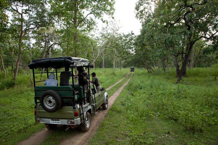 Jeep Safari, Kabini